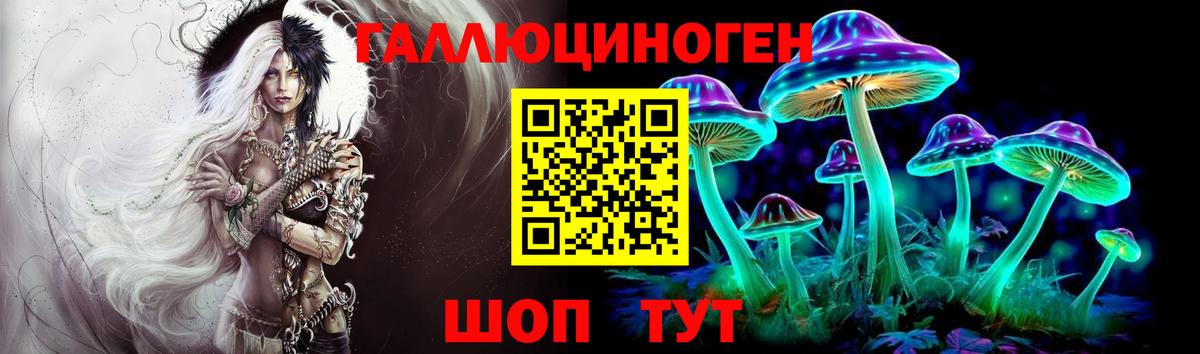 Псилоцибиновые грибы Cubensis Барнаул